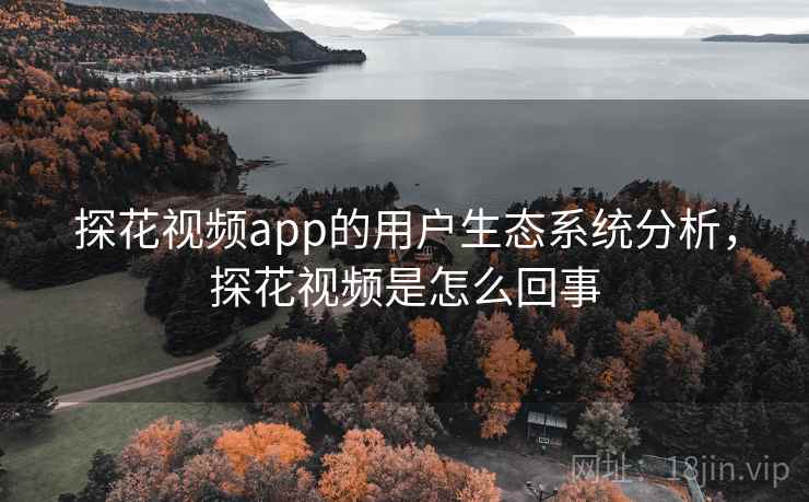 探花视频app的用户生态系统分析，探花视频是怎么回事