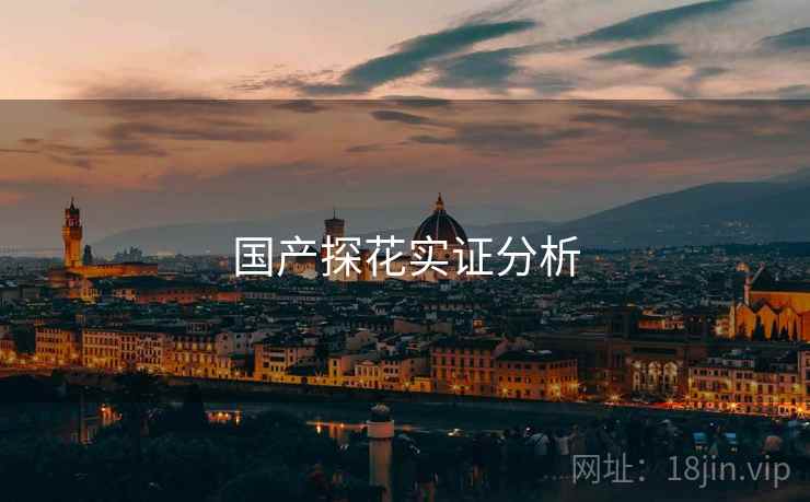 国产探花实证分析 国产探花实证分析