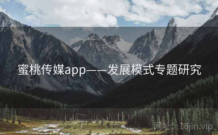 蜜桃传媒app——发展模式专题研究