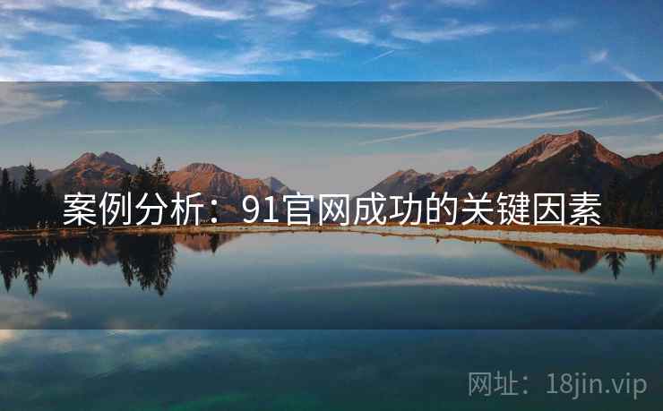 案例分析：91官网成功的关键因素