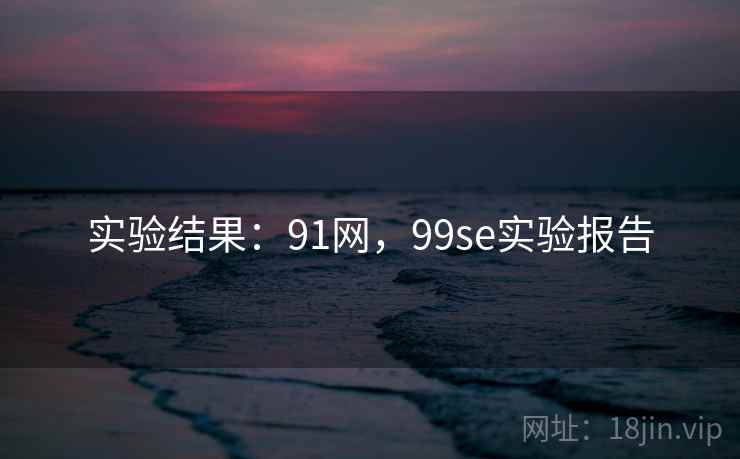 实验结果：91网，99se实验报告